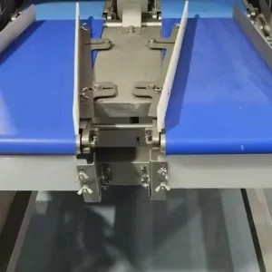 the belt of visual inspection machines