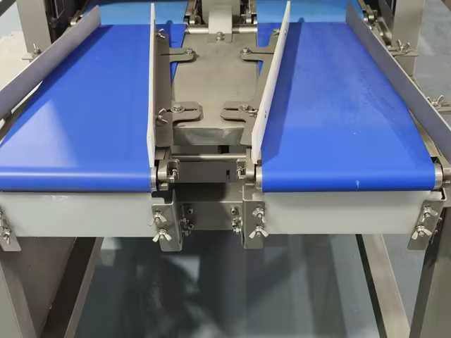 the belt of visual inspection machines