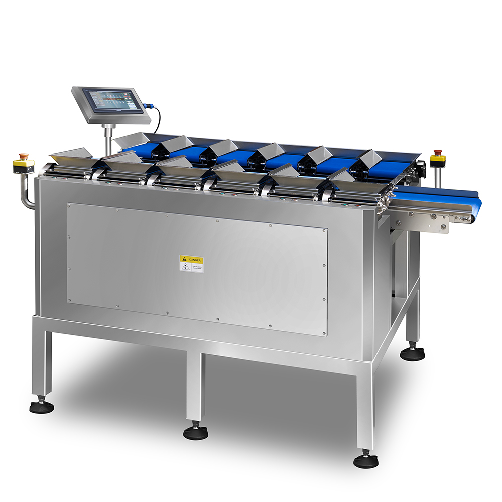 https://www.easyweigh-group.com/wp-content/uploads/2022/07/easyweigh-12-head-linear-combination-weigher-ybm-12-side.jpg