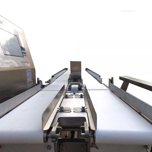 conveyor of dual lane weight grader