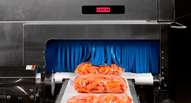 x ray detectio system in food processing