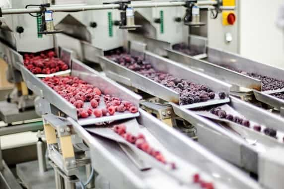 prevent physical contamination in food processing