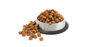 weighing pet snacks industrial solution