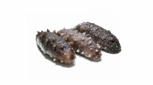 sea cucumber sorting solutions