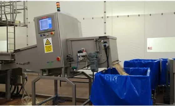 bulk products x ray inspection