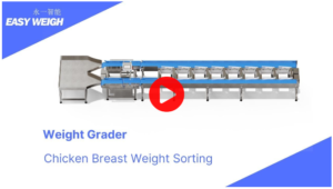 weight sorting machine sort chicken breast