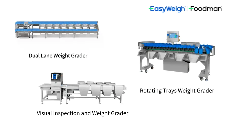 Sorting Machine For Sorting And Grading | Easyweigh