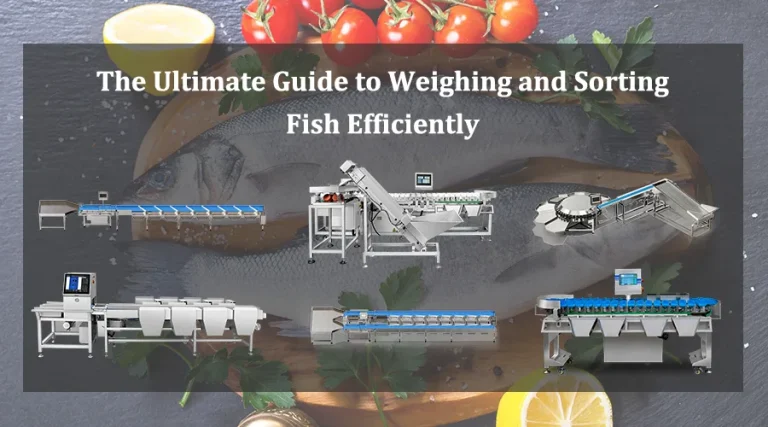 the ultimate guide to weighing and sorting fish efficiently