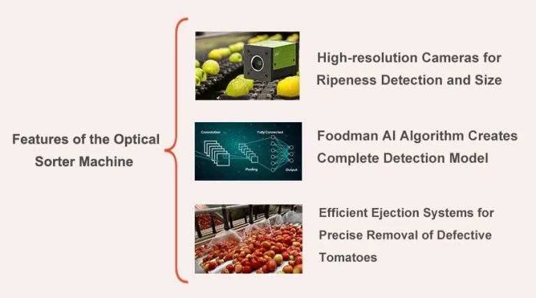 features of the optical sorter machine