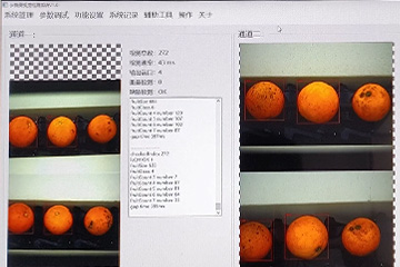 easyweigh fruit optical scanning