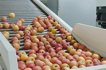infeed and product alignment