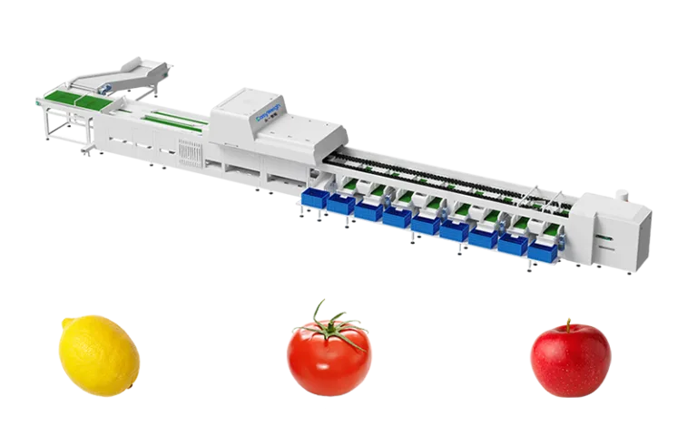 Fruit And Vegetables Sorting System | Vision Inspection | Easyweigh