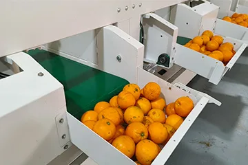 rejection and packaging fruit