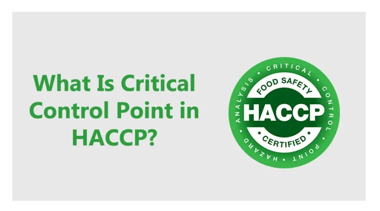what is critical control point in haccp