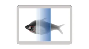 fish x ray machine detecting image