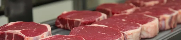 how x ray and grading technology are transforming meat processing