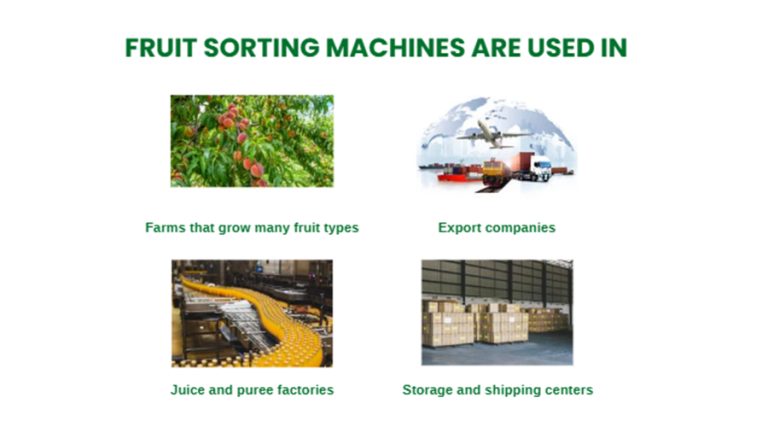 fruit sorting machine are used