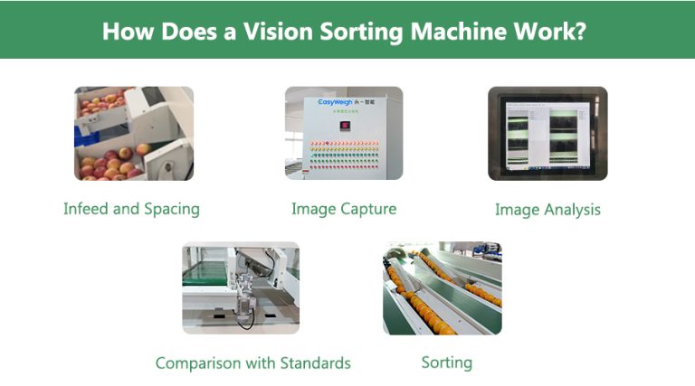 how does a vision sorting machine work