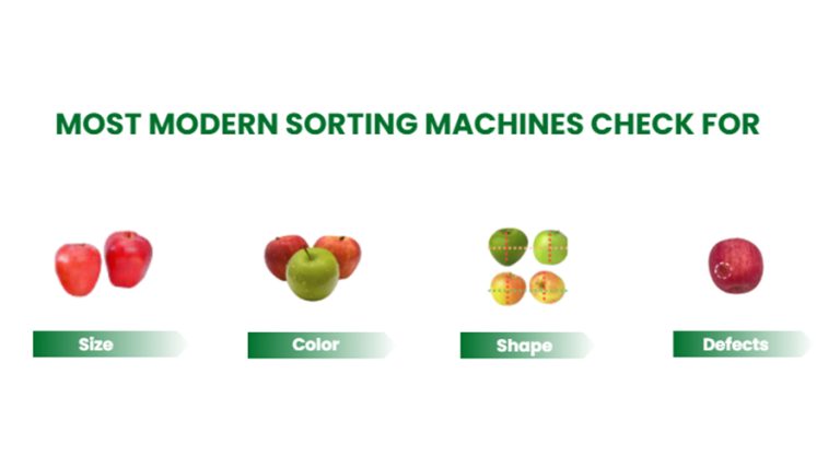 most modern sorting machines check for