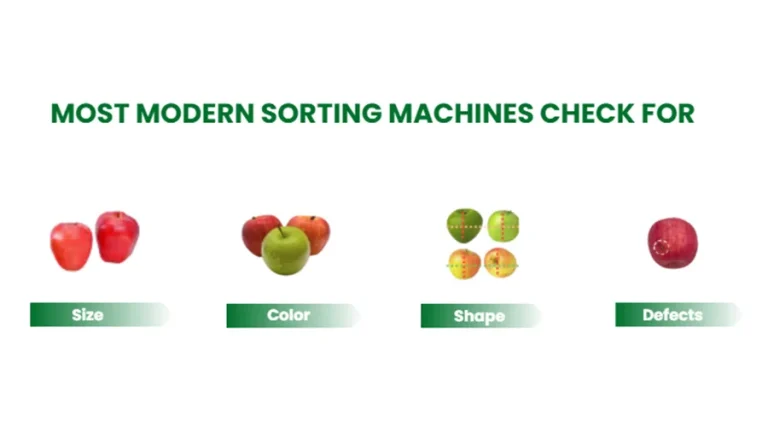 most modern sorting machines check for