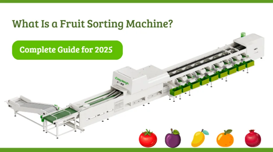 what is a fruit sorting machine complete guide for 2025