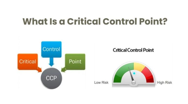 what is a critical control point