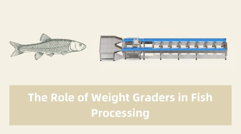 the role of weight graders in fish processing