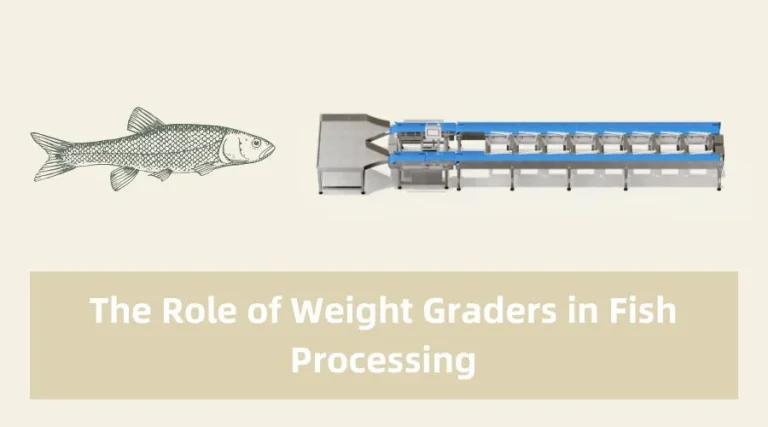 the role of weight graders in fish processing
